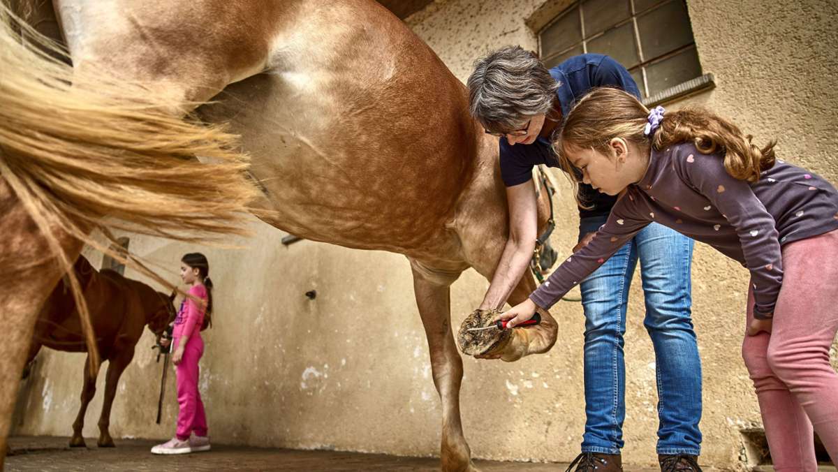 Pferdereiten  in Kernen: Glücksmomente  mit Heidi, Vladi und Pünktchen