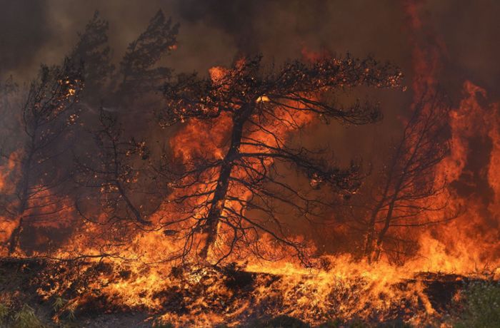 Waldbrand bei Dubrovnik: Jetzt brennt es auch in Kroatien