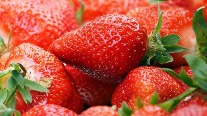 Woran erkennt man frische Erdbeeren?