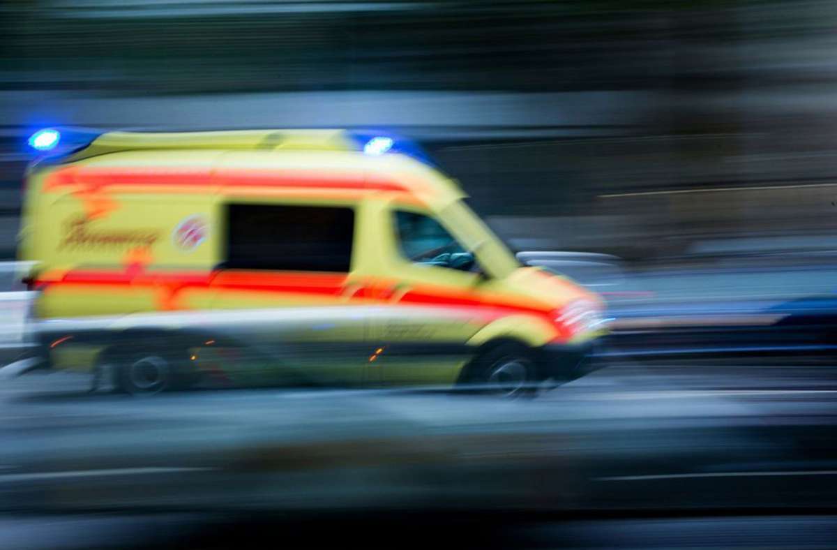 Kreis Esslingen: Zwei Fahrradfahrer nach Kollisionen mit Reh und Auto im Krankenhaus