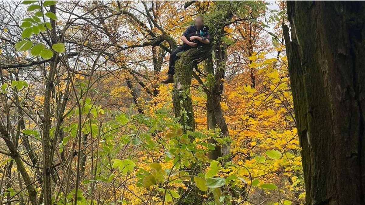 Kurioser Einsatz in Stuttgart: Jagdhund verfolgt Katze auf Baum und muss gerettet werden