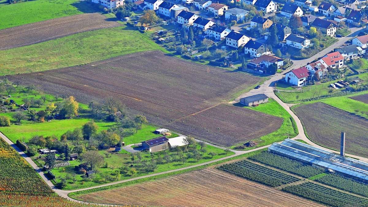 Baugebiet bei Marbach: Keltergrund kommt nicht in Schwung