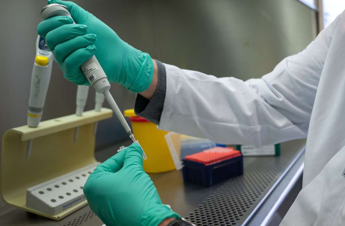 Coronavirus: Deutsche infizieren sich in Südafrika mit Omikron trotz Booster