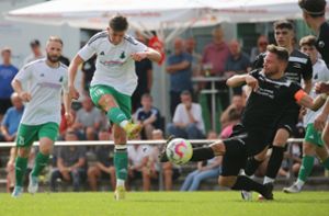 Fußball Landesliga: TSV Heimerdingen holt Punkt im Topspiel