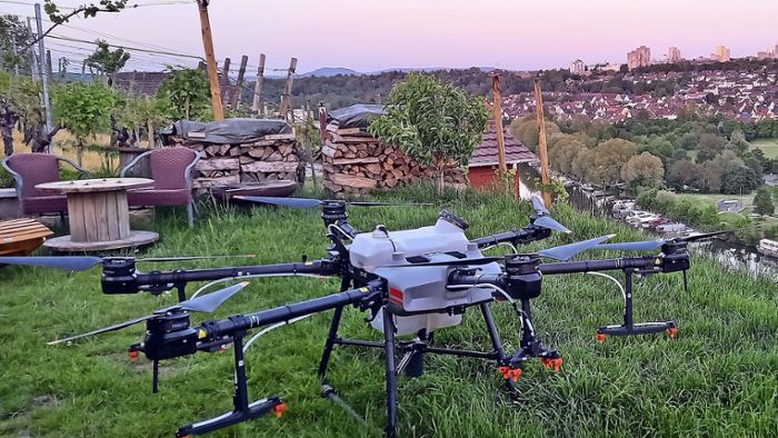 Drohnen-Einsatz im Weinbau in Stuttgart-Mühlhausen: Fliegende Helfer in den Steillagen