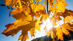 24 Grad in Stuttgart – wie lange bleibt der  Herbst so schön?