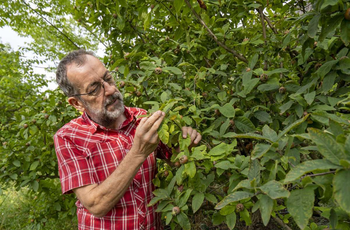 Volker Kugel meint, dass Gartenbesitzer trotz Klimawandel Freude am Gärtnern haben können. „Es gilt aber das Motto: Visier hoch!“ Was der Blüba-Chef meint: Man muss genau beobachten, wie sich welche Pflanze entwickelt und was sie braucht.