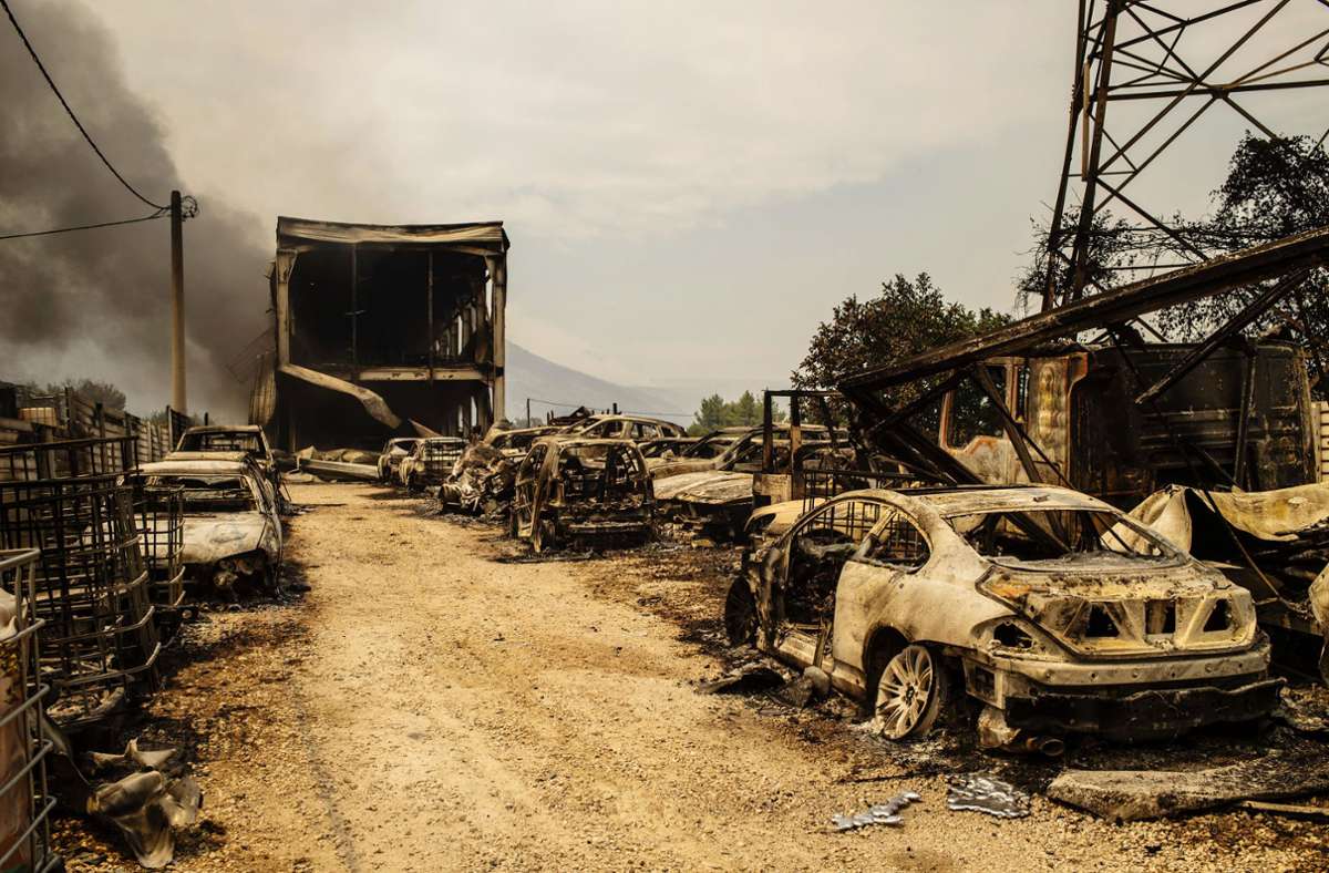 Brände in Griechenland: Eine Spur der Zerstörung