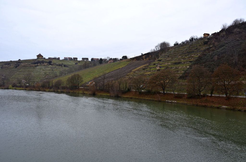 Entlang der Hofener Straße sollen Neckarbalkone den Fluss erlebbar machen.
