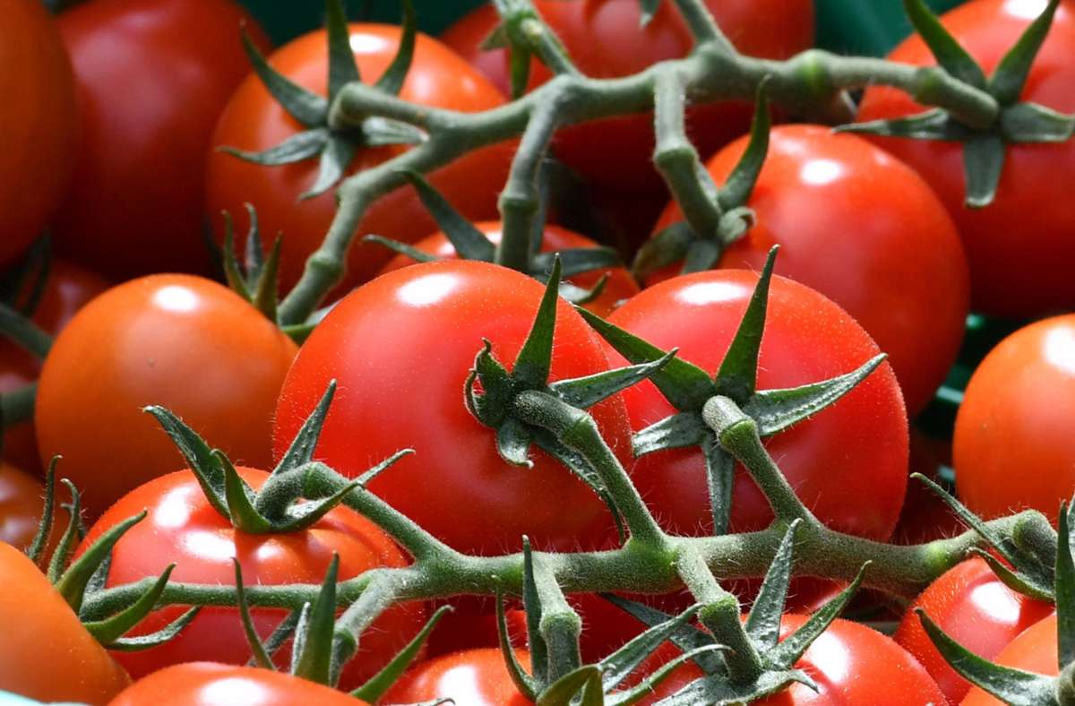 Renchen im Ortenaukreis: Tomaten-Diebstahl eskaliert – Angreiferin kann flüchten