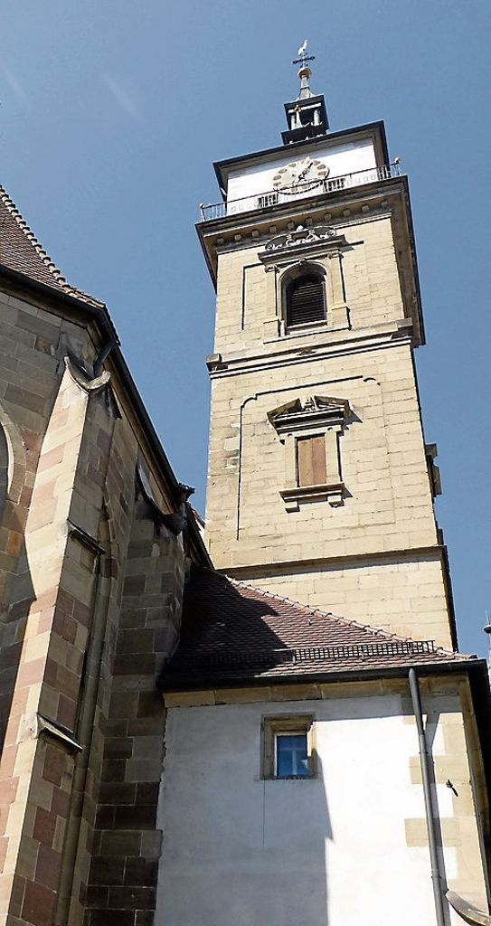 Am Montag erhält Stadtkirche die Plakette „Lebensraum Kirchturm“, da hier schon seit Jahren Turmfalken brüten.  Foto: Nagel/dpa