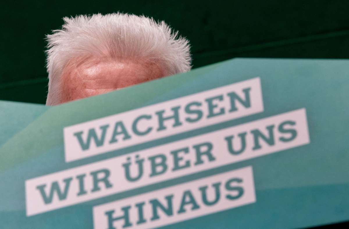 Grünen-Landesparteitag vor Bundestagswahl: Von der „Premiumopposition“ zur Staatspartei?