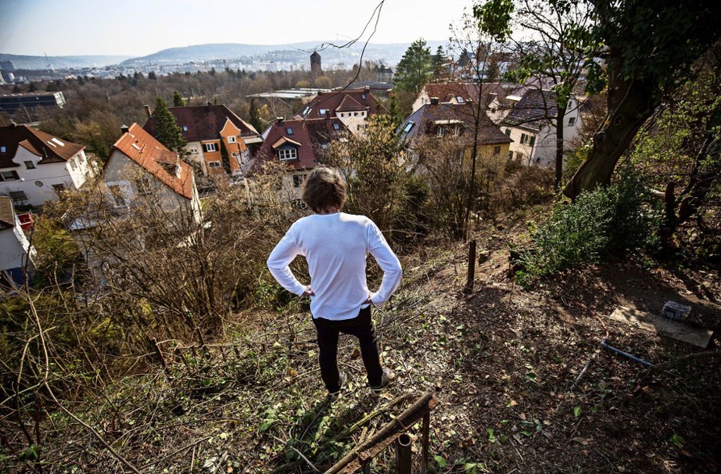 Baumfällungen auf dem Stuttgarter Killesberg: Baumfällungen am Killesberg bleiben folgenlos