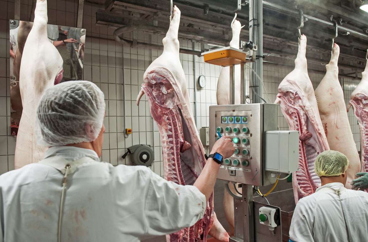 Landesregierung plant neue Verordnung: Fleischbetriebe in die Pflicht genommen