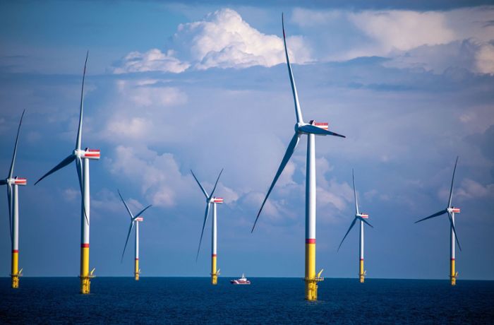 Konflikt  droht zwischen Fischern und Windparks: Auf der Nordsee wird es eng