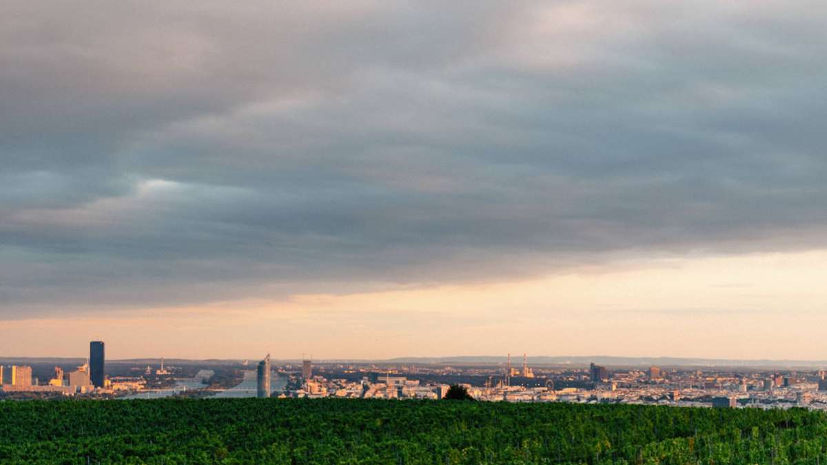 Was für ein Blick: Von den Wiener Weinbergen kann man die österreichische Hauptstadt überblicken.