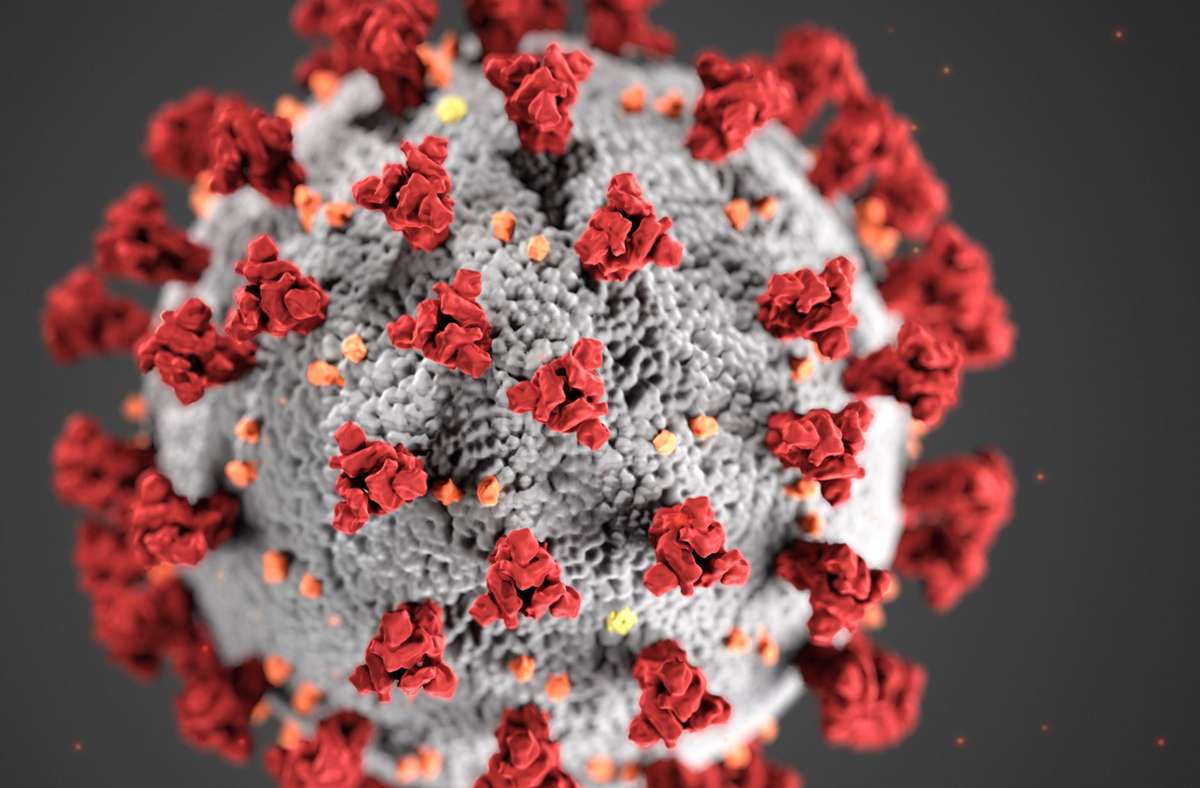 Coronavirus in den USA: US-Wissenschaftler besorgt über Corona-Variante inKalifornien