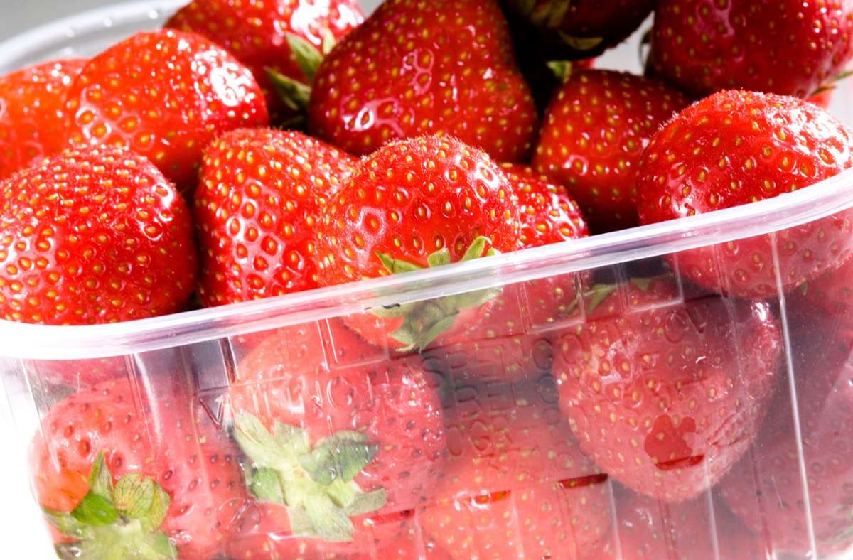Ökologie und Lebensmittel: Warum Früherdbeeren Klima- und Umweltkiller sind