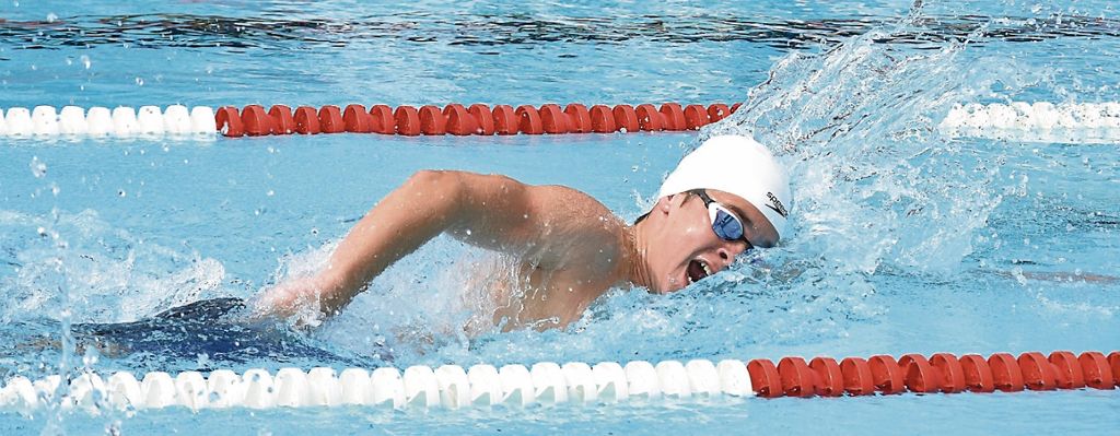 Schwimmer kehren mit 22 Titeln von württembergischen Meisterschaften heim: TB Cannstatt räumt mächtig ab