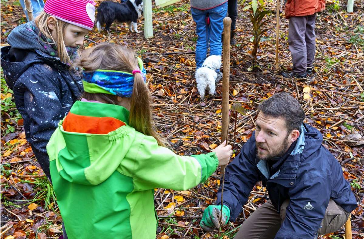 Aktion in Waiblingen: Neue Bäume für den Stadtwald
