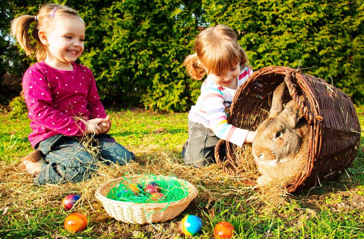 Eier färben, Schokohasen, Osterfeuer: Mit diesen Tipps können Sie Ostern nachhaltig feiern