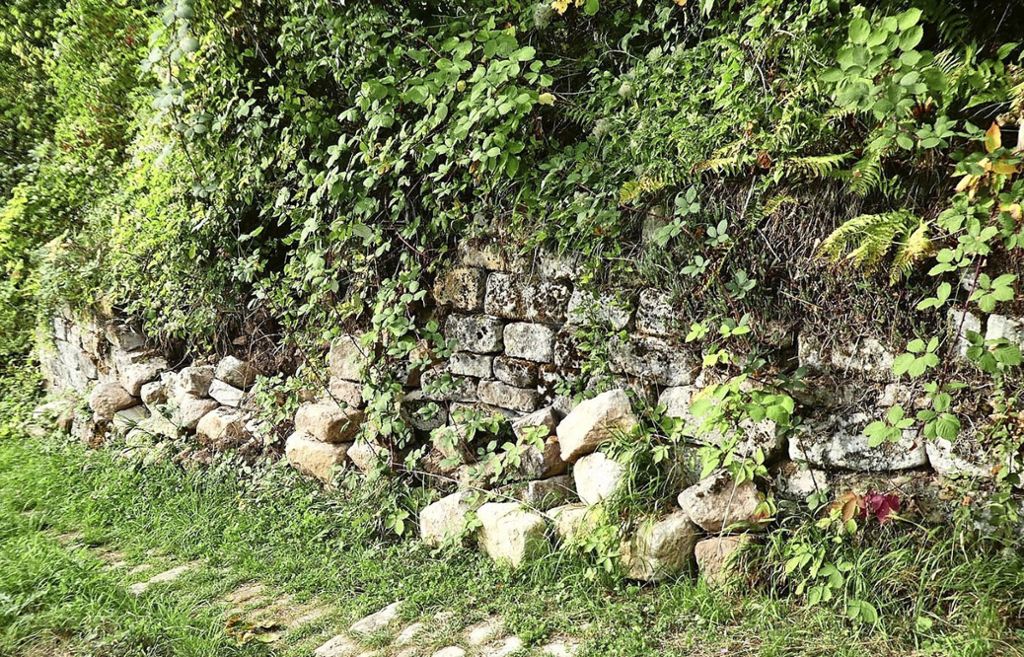 An der „Krummen Steige“ ist eine Trockenmauer eingestürzt. Foto: Dolde (z) -  Dolde (z)