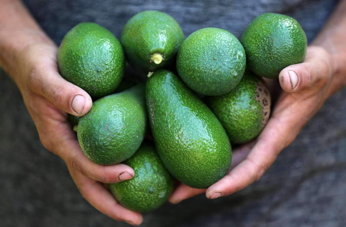 Von der Avocado bis zu Cashewkernen: So schaden diese Superfoods der Umwelt