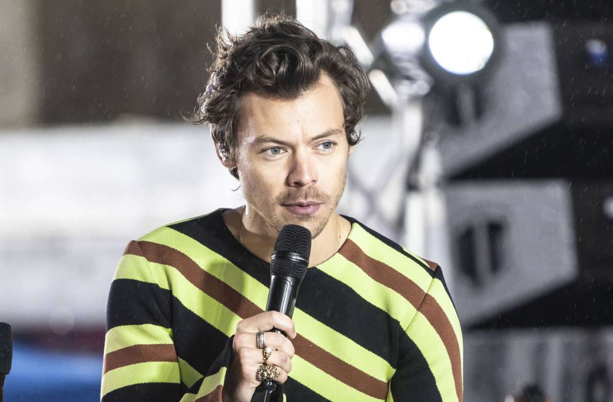 Harry Styles: Popstar unterbricht Londoner Konzert –  um einem Fan zu helfen
