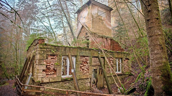 Ausflug zur ominösen Ruine im Bannwald