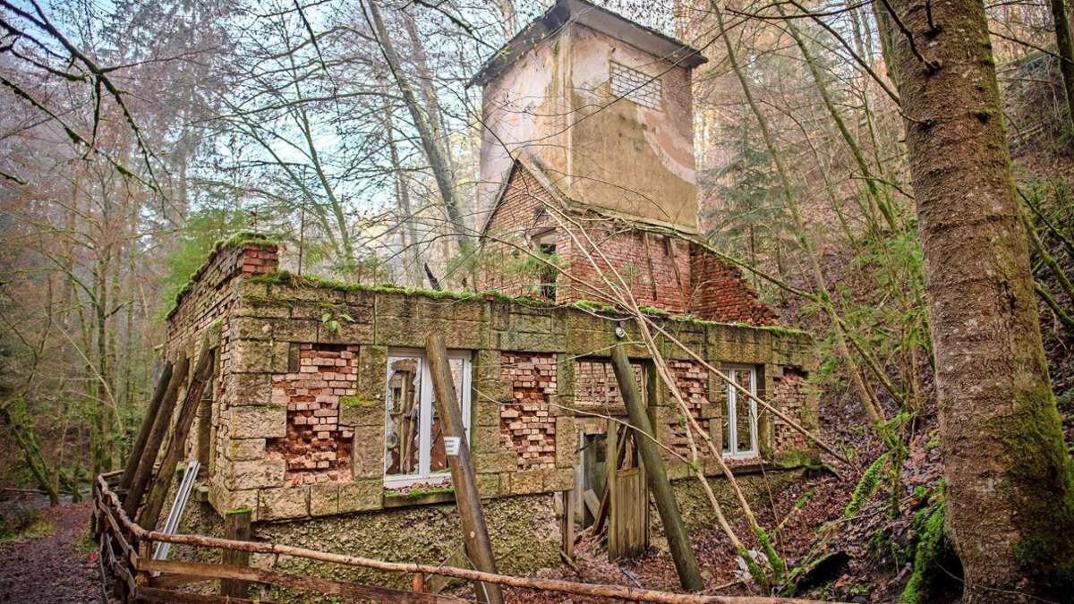Lost Place mit Dampflok-Anschluss: Ausflug zur geheimnisvollen Ruine im Bannwald