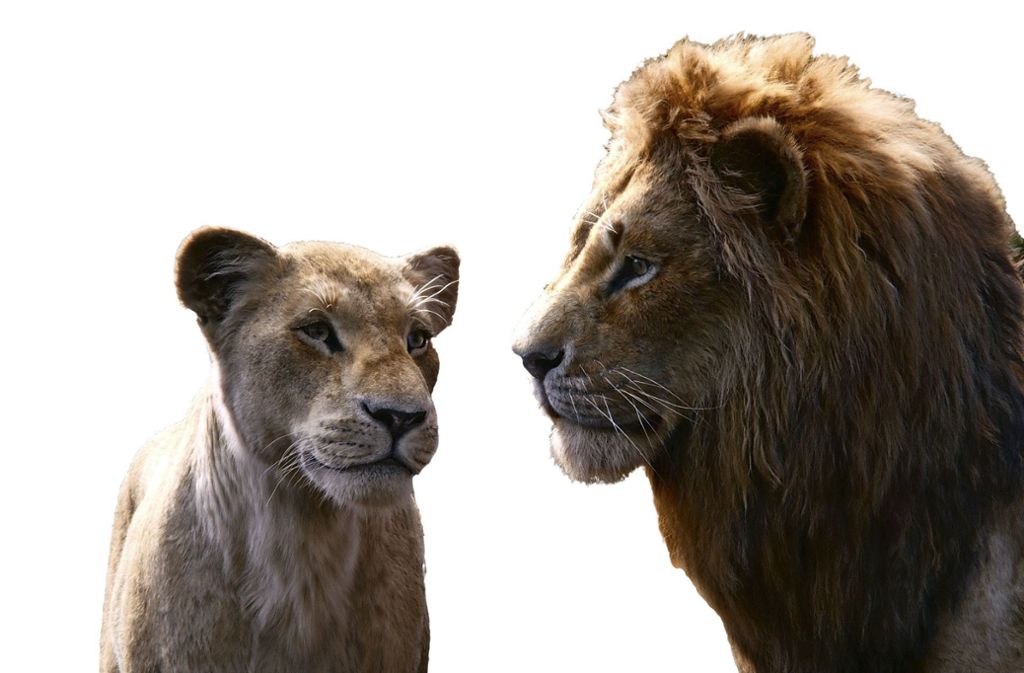 Jon Favreau gelingt ein überzeugendes Remake des Klassikers „Der König der Löwen“: Simba zeigt wieder seine Krallen