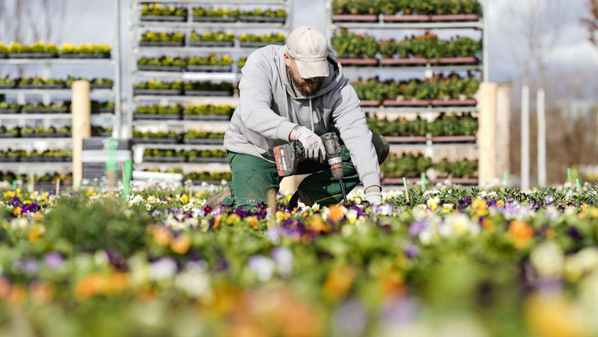 Wie Gartenschauen  die Städte im Land prägen: Die Bundesgartenschau macht jede Stadt lebenswerter