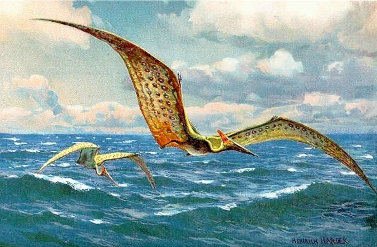 Welt der Dinosaurier: Forscher lösen Rätsel um Vorfahren der Flugsaurier
