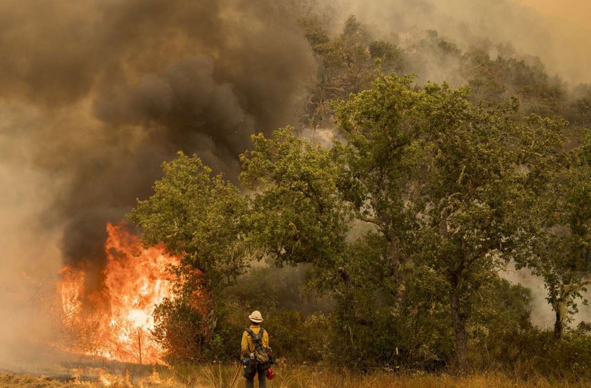 Kalifornien: Vier Menschen sterben bei Waldbränden