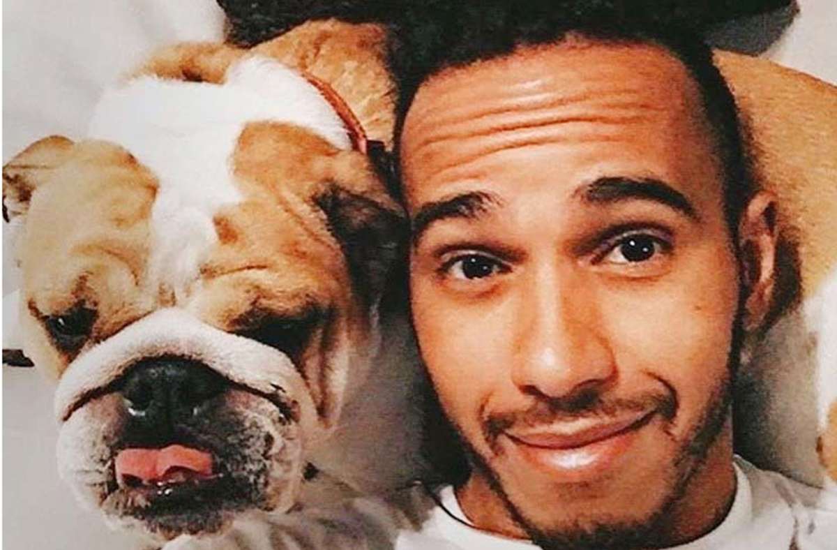 Sportsfreund des Tages: Lewis Hamilton und sein veganer Hund