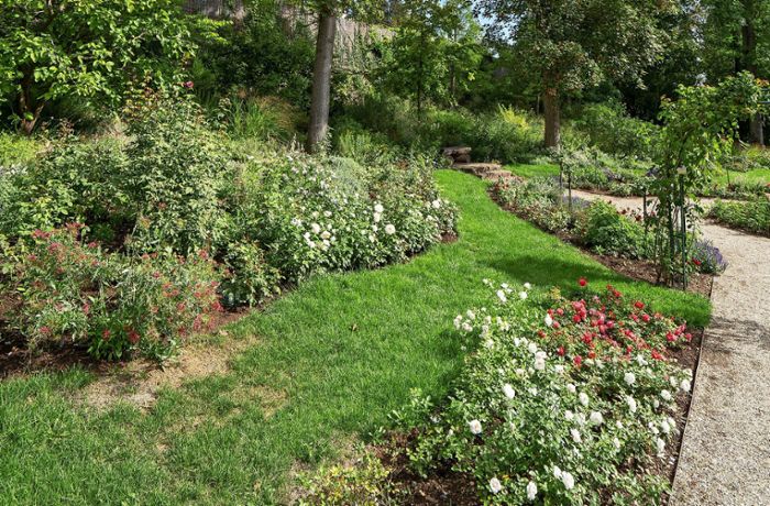 Tipps vom Blüba-Chef: Wie sich unsere Gärten verändern