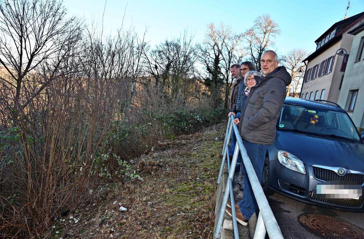 Die RotenbergerInnen ärgern sich darüber, dass der Hang an der Rainstraße nur ungenügend gepflegt wird. Bäume und Büsche verhindern die Aussicht ins Tal. Foto: Mathias Kuhn