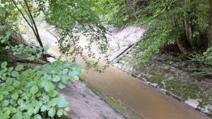 Maßnahmen zum Hochwasserschutz am Feuerbach
