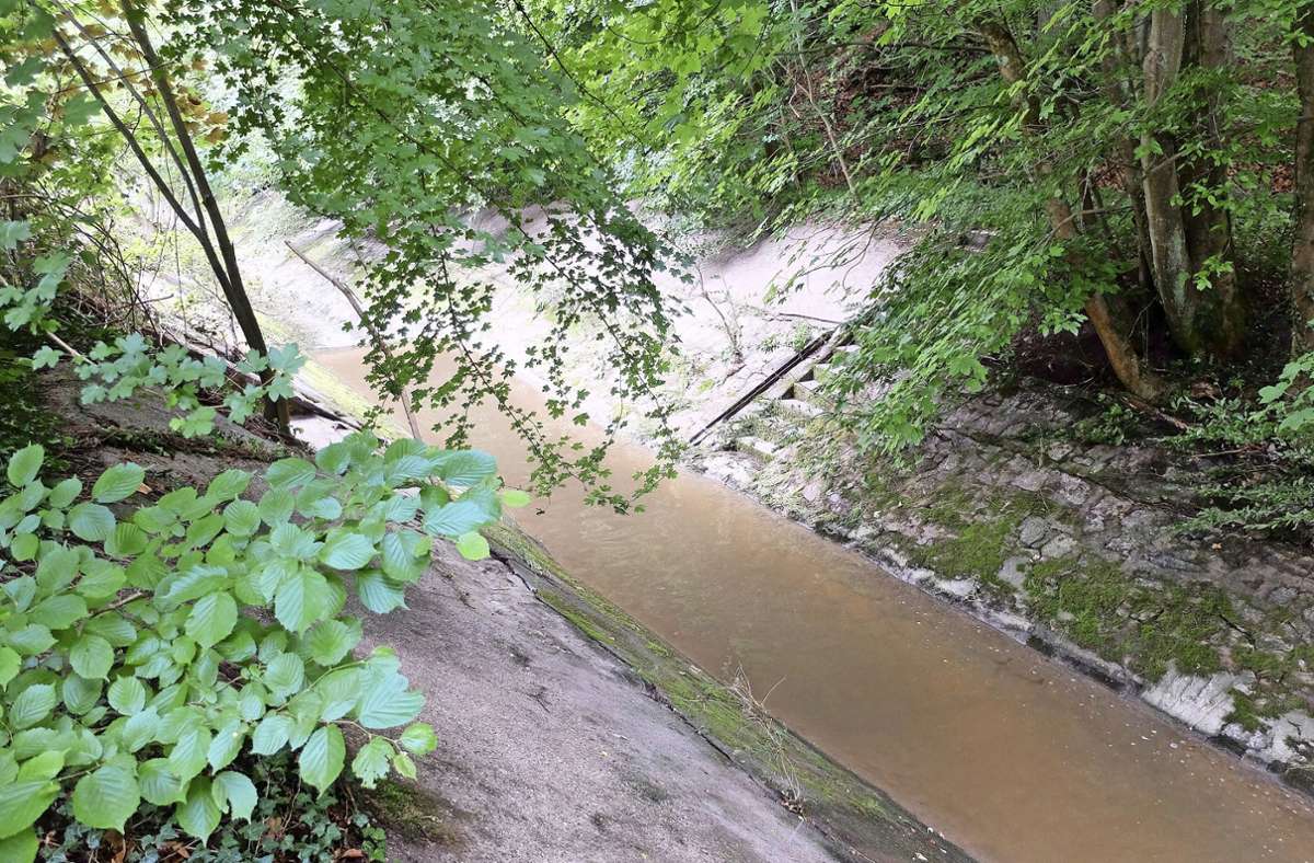 Klimawandel in Mühlhausen: Maßnahmen zum Hochwasserschutz am Feuerbach