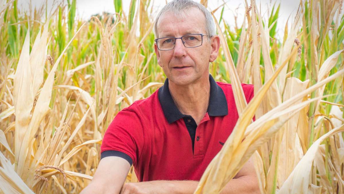 Landwirtschaft in Baden-Württemberg: Bauer rechnet Kosten vor –  und kann nur hoffen