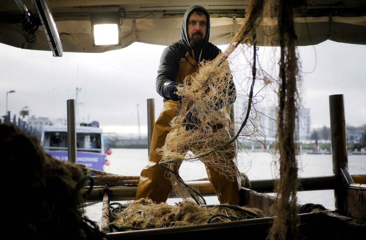Brexit und der Streit um die Fische: Fangquoten für die Nordsee stehen  vorläufig