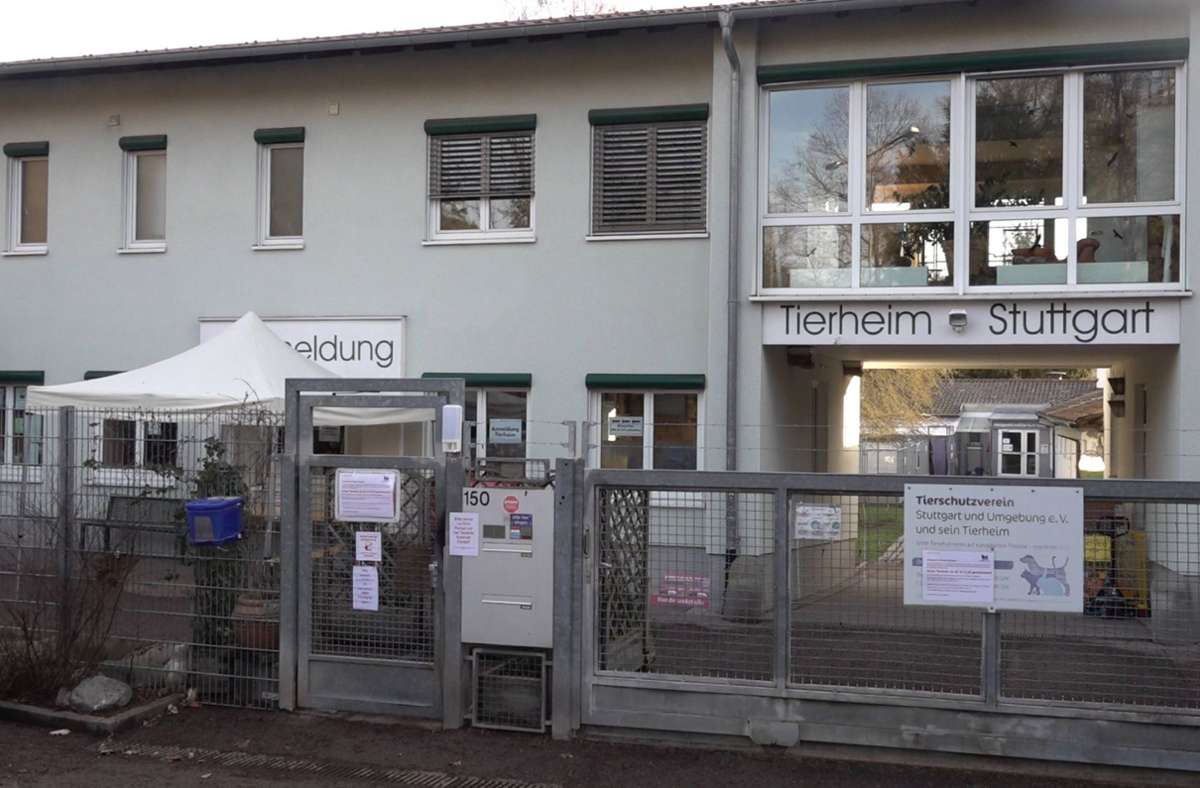 Animal Hoarding in Stuttgart: Tierheim muss sich auf einen Schlag um mehr als hundert Tiere kümmern