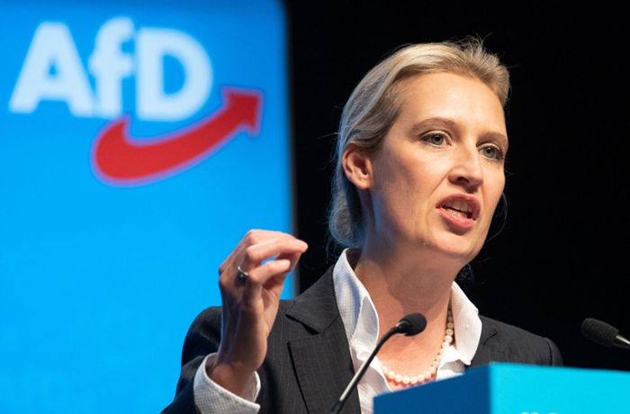 AfD-Frontfrau will Vorsitz in Baden-Württemberg: Weidel, die Anpassungsfähige