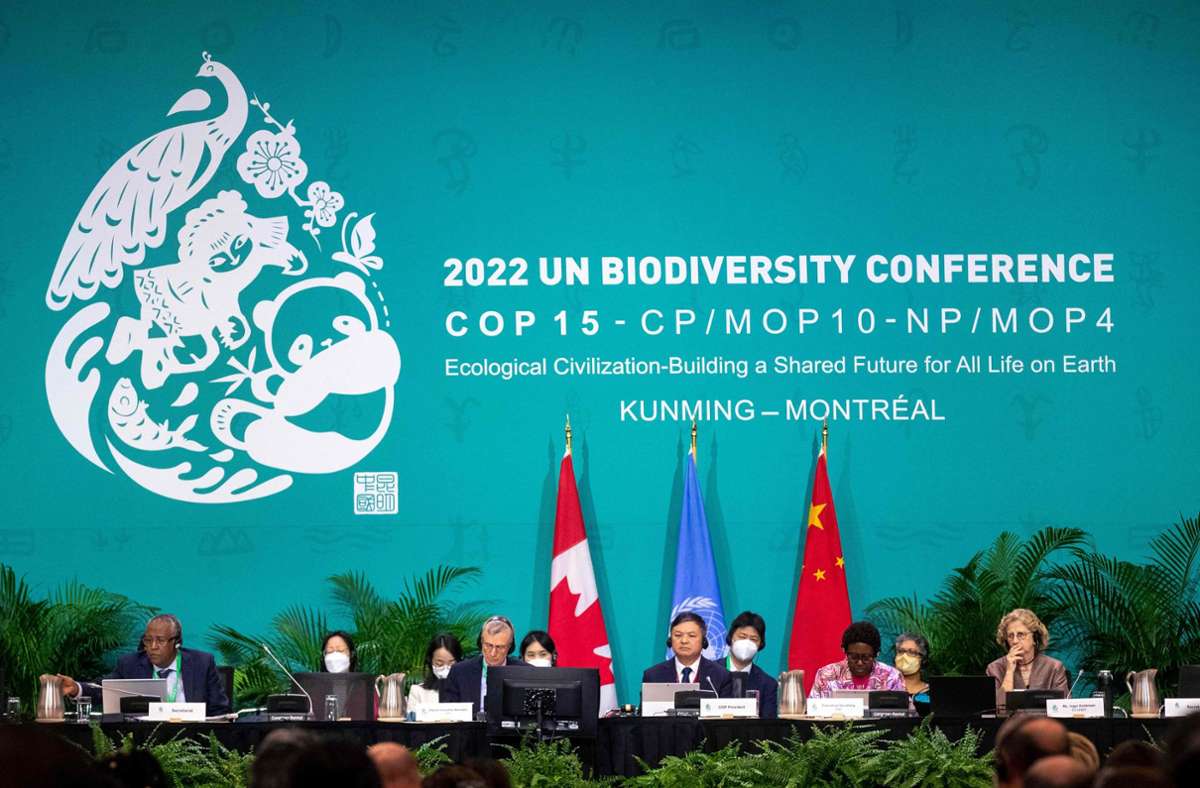 Artenschutzabkommen von Montreal: Nun konsequente Umsetzung nötig