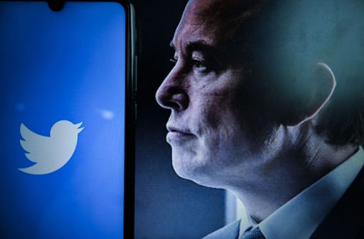 Elon Musk überlässt Umfrageteilnehmern die Entscheidung, ob Trumps Twitter-Sperrung aufgehoben wird.  (Archivbild) Foto: dpa/Adrien Fillon
