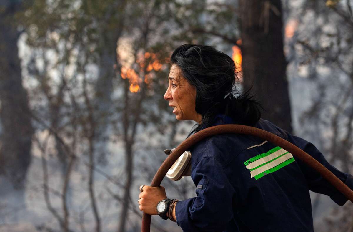 Waldbrände in Europa: Alles verbrannt, alles verloren