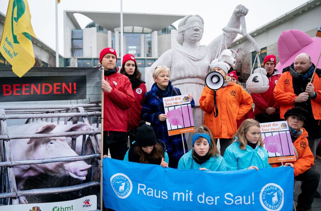 Agrargipfel in Berlin: Bauern tragen Protestins Kanzleramt