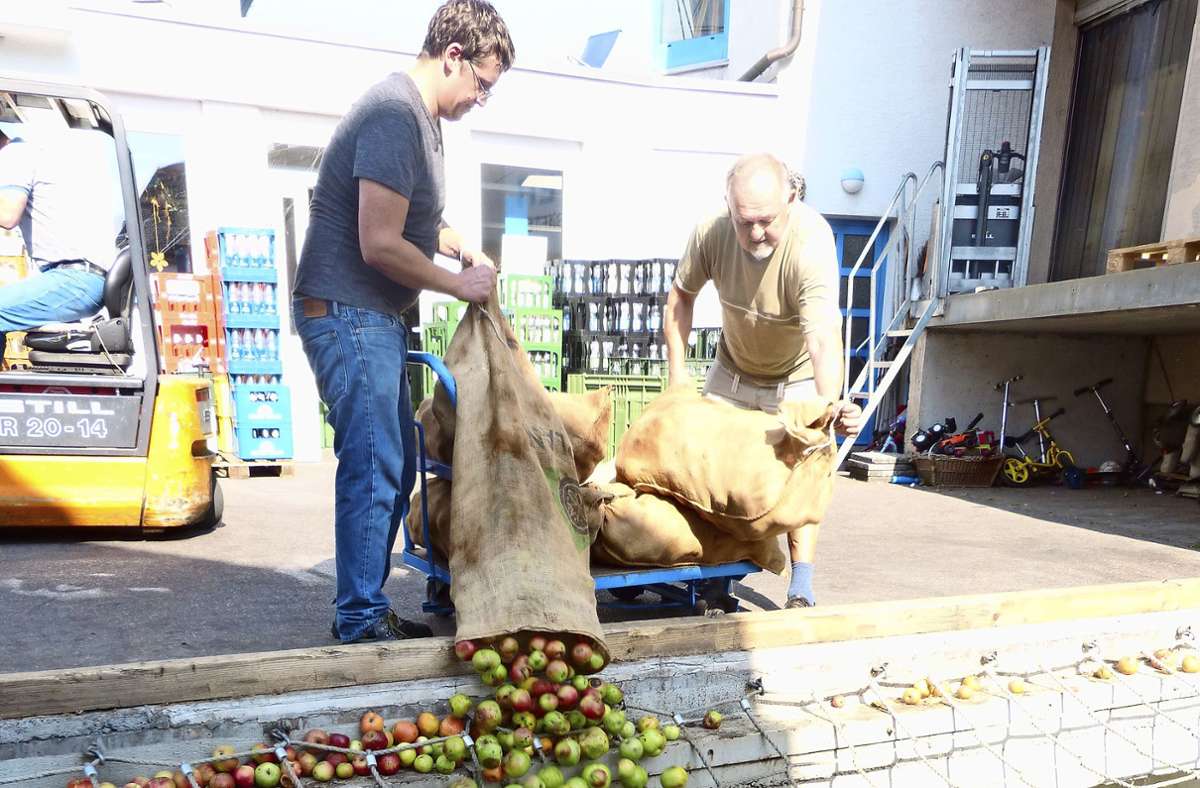 Uhlbach: Gute Ernte für heimischen Apfelsaft