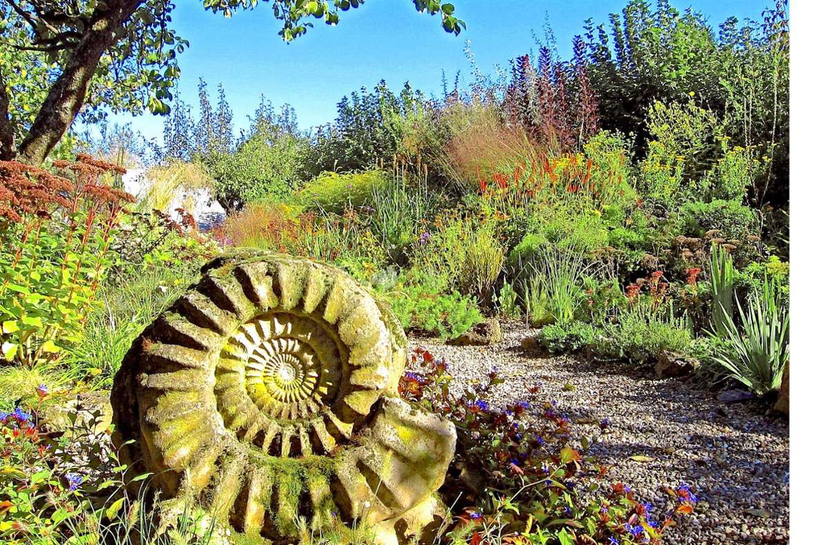 Dekorativer Abguss eines prähistorischen Ammoniten, dazu Präriepflanzen.