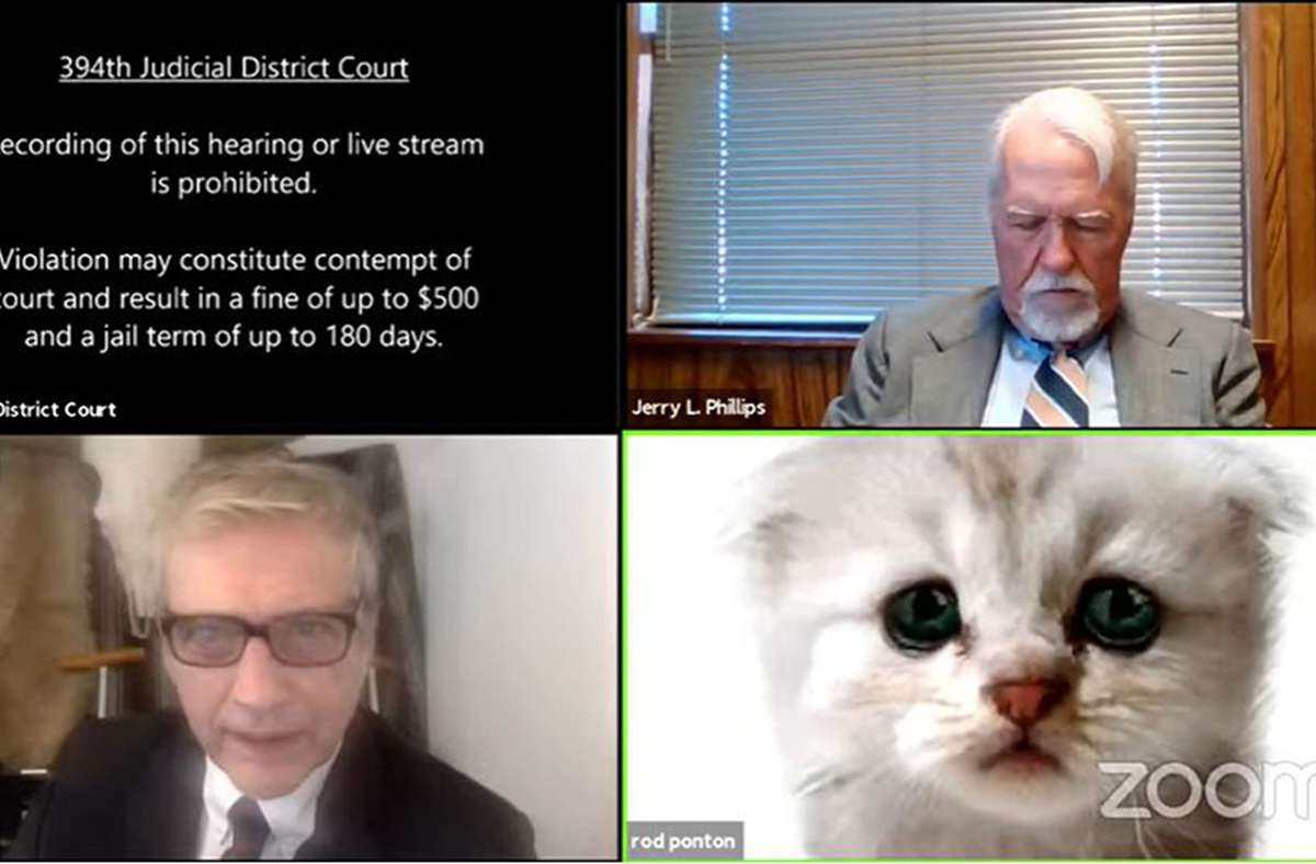 Zoom-Video aus den USA: Anwalt hat bei Online-Anhörung mit  Katzenfilter zu kämpfen